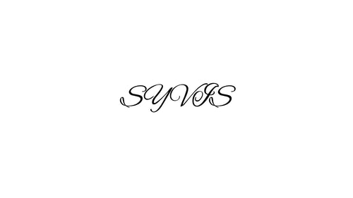 Syvis Store